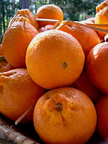 sicilian oranges